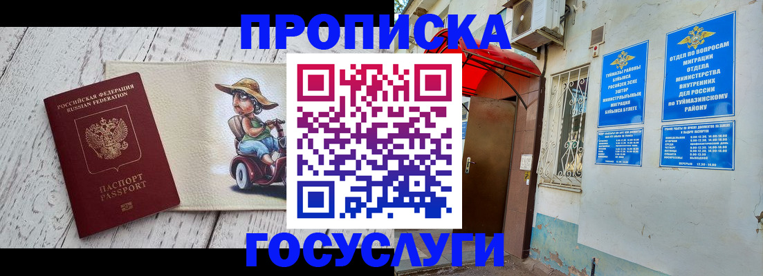 прописка для школы в Фрязино